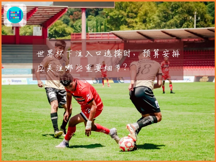 世界杯下注入口选择时，预算安排应关注哪些重要细节？