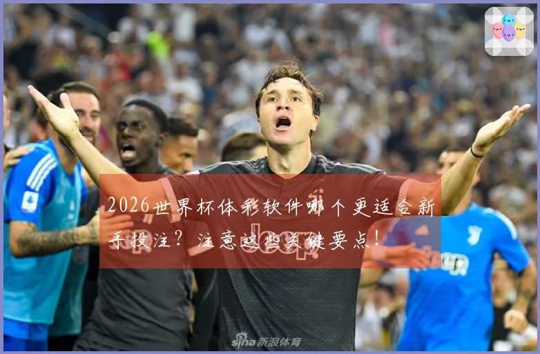 2026世界杯体彩软件哪个更适合新手投注？注意这些关键要点！