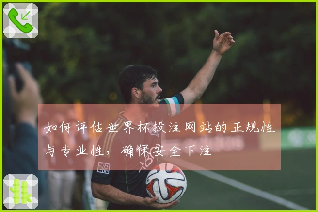 如何评估世界杯投注网站的正规性与专业性，确保安全下注