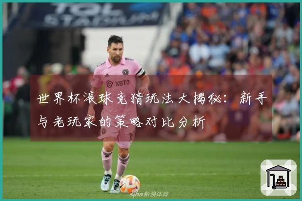 世界杯滚球竞猜玩法大揭秘：新手与老玩家的策略对比分析