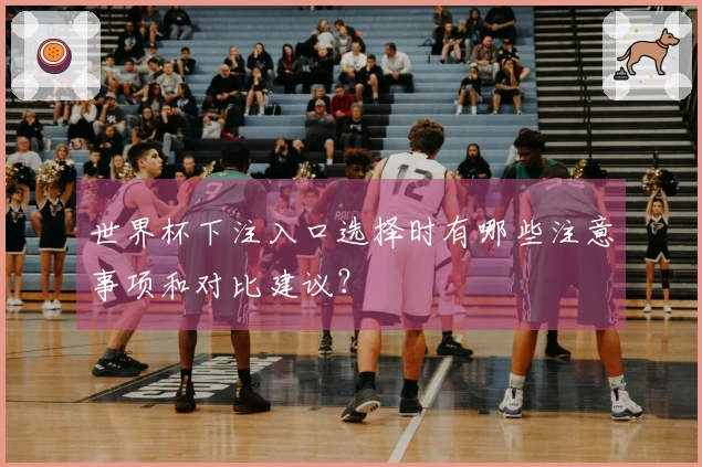 世界杯下注入口选择时有哪些注意事项和对比建议？