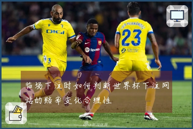 临场下注时如何判断世界杯下注网站的赔率变化合理性