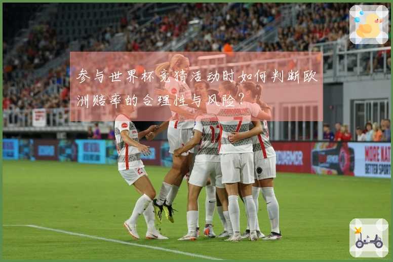 参与世界杯竞猜活动时如何判断欧洲赔率的合理性与风险？