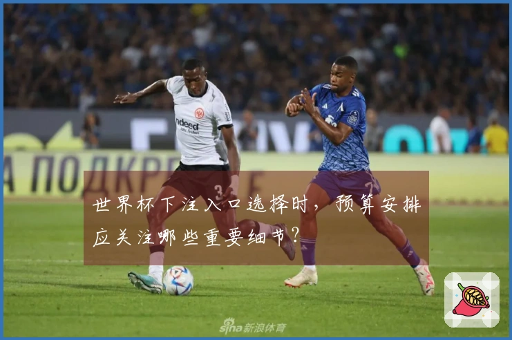 世界杯下注入口选择时，预算安排应关注哪些重要细节？