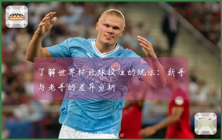 了解世界杯让球投注的玩法：新手与老手的差异分析
