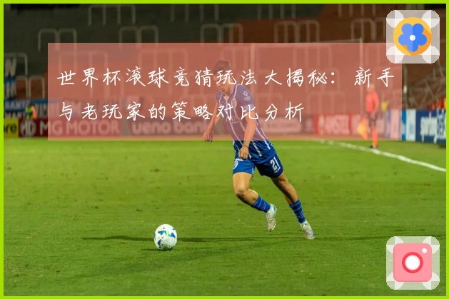世界杯滚球竞猜玩法大揭秘：新手与老玩家的策略对比分析