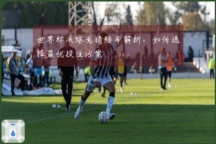 世界杯滚球竞猜赔率解析，如何选择最优投注方案