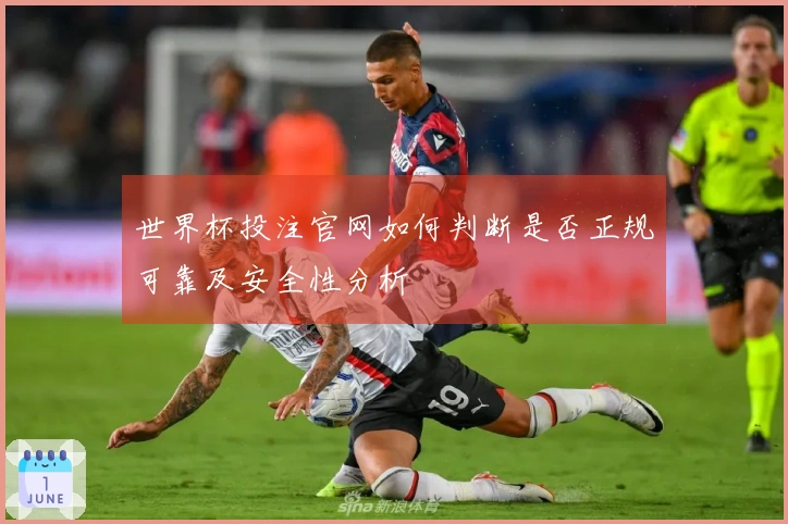 世界杯投注官网如何判断是否正规可靠及安全性分析