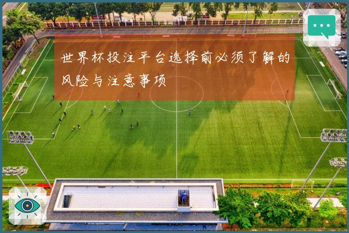 世界杯投注平台选择前必须了解的风险与注意事项