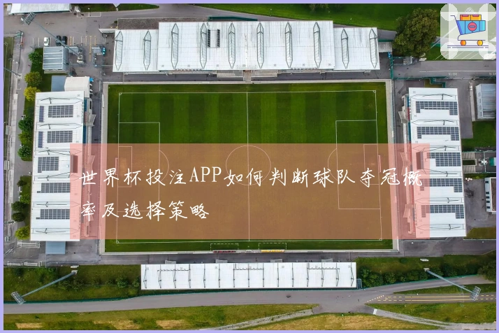 世界杯投注APP如何判断球队夺冠概率及选择策略