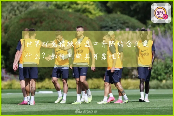 世界杯竞猜软件盘口升降的含义是什么？如何判断其可靠性？