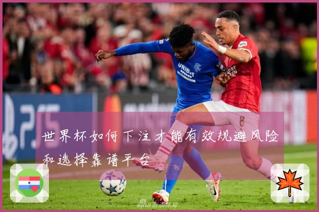 世界杯如何下注才能有效规避风险和选择靠谱平台