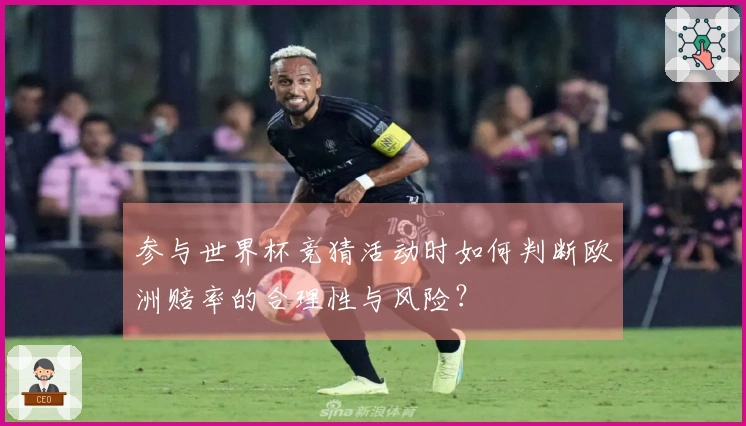 参与世界杯竞猜活动时如何判断欧洲赔率的合理性与风险？
