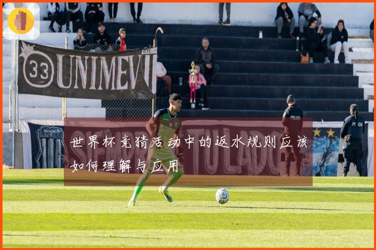 世界杯竞猜活动中的返水规则应该如何理解与应用